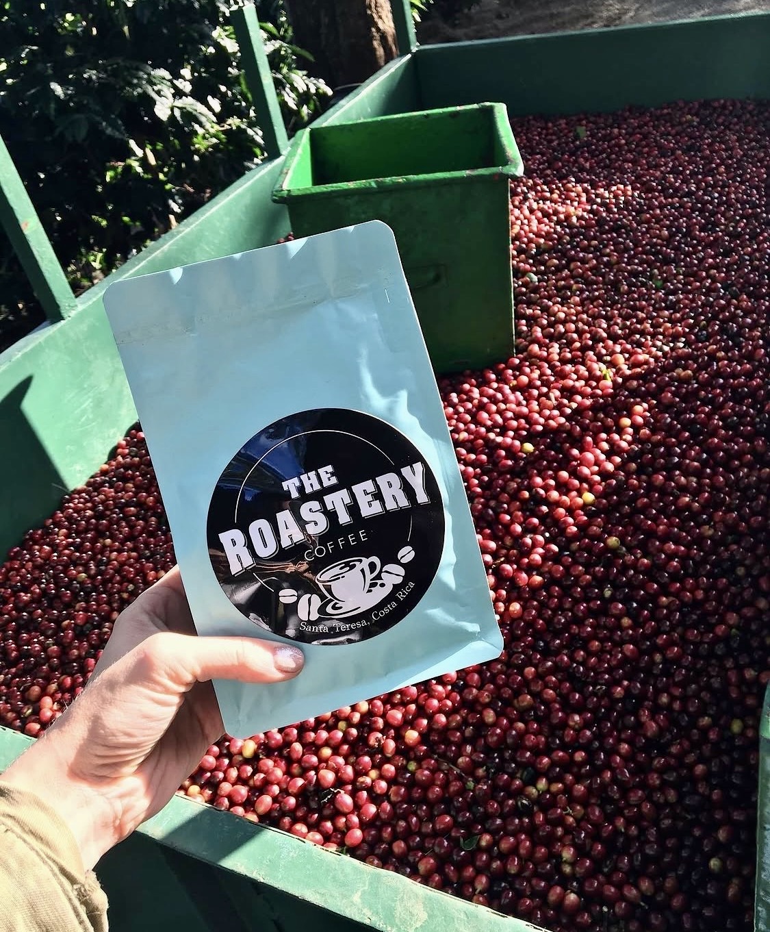The Roastery Coffee & Kitchen — Gallery 2